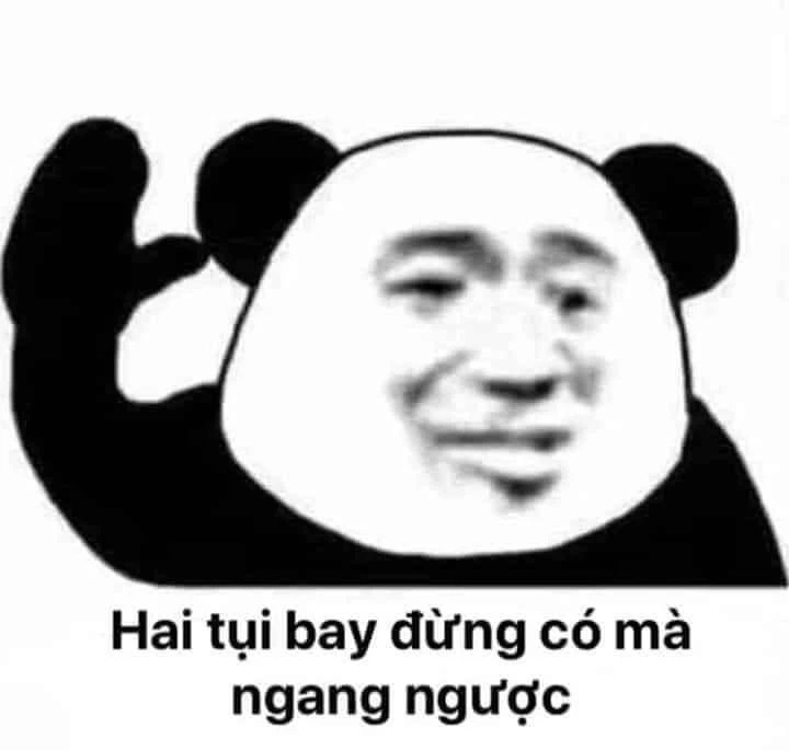 Meme gấu trúc ok cực lầy lội