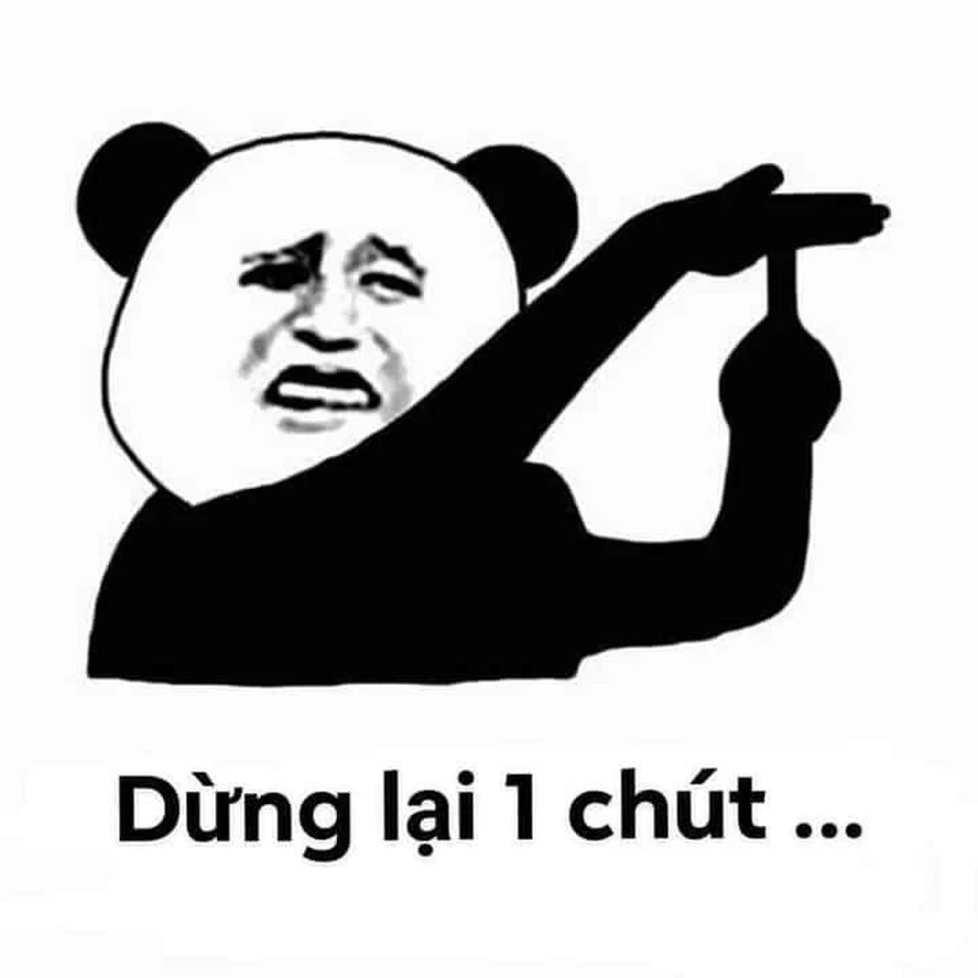 Meme gấu trúc khó hiểu cực lạ nhưng thú vị