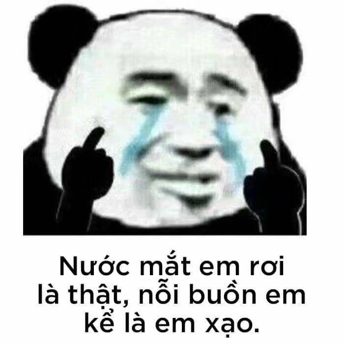 Meme gấu trúc không chữ gây bất ngờ