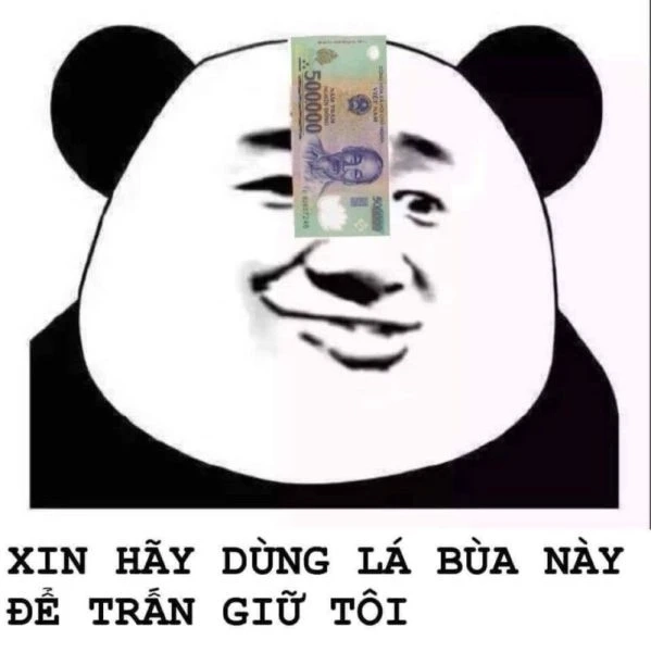 Meme gấu trúc ngại khiến bạn bật cười