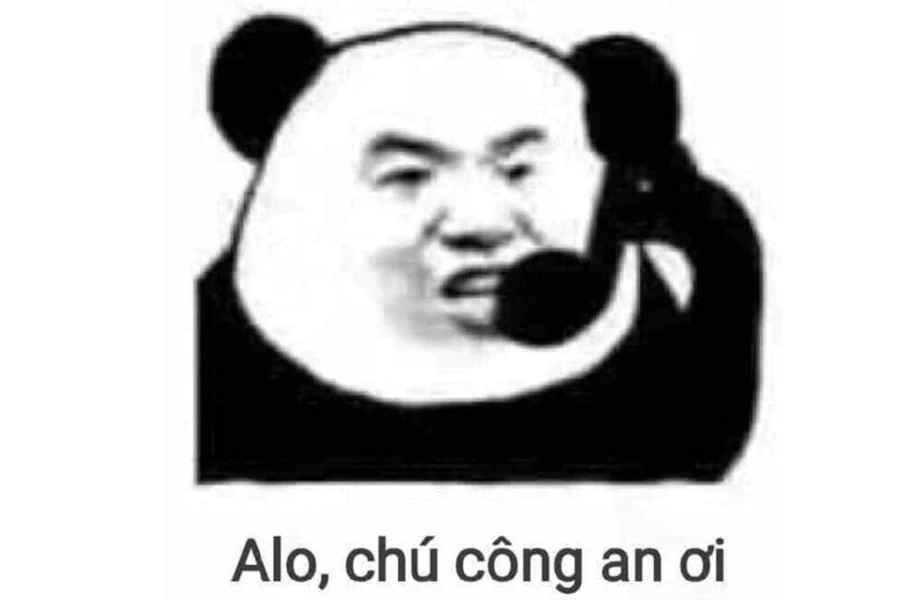 Meme gấu trúc hoa hoa đẹp mê mẩn