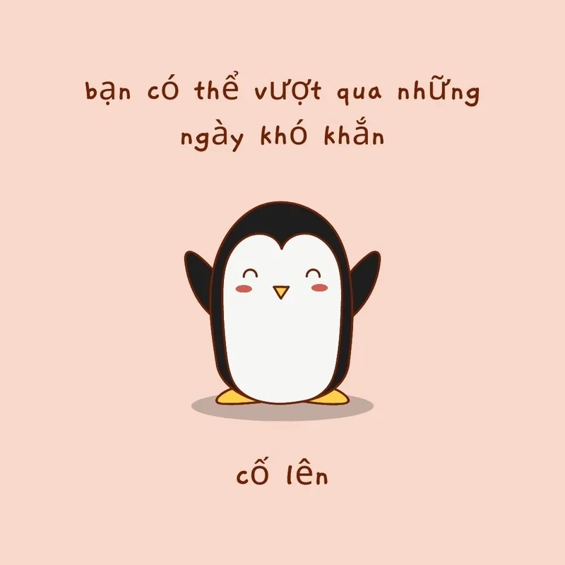 Fighting meme cố lên đầy cảm hứng và vui nhộn.