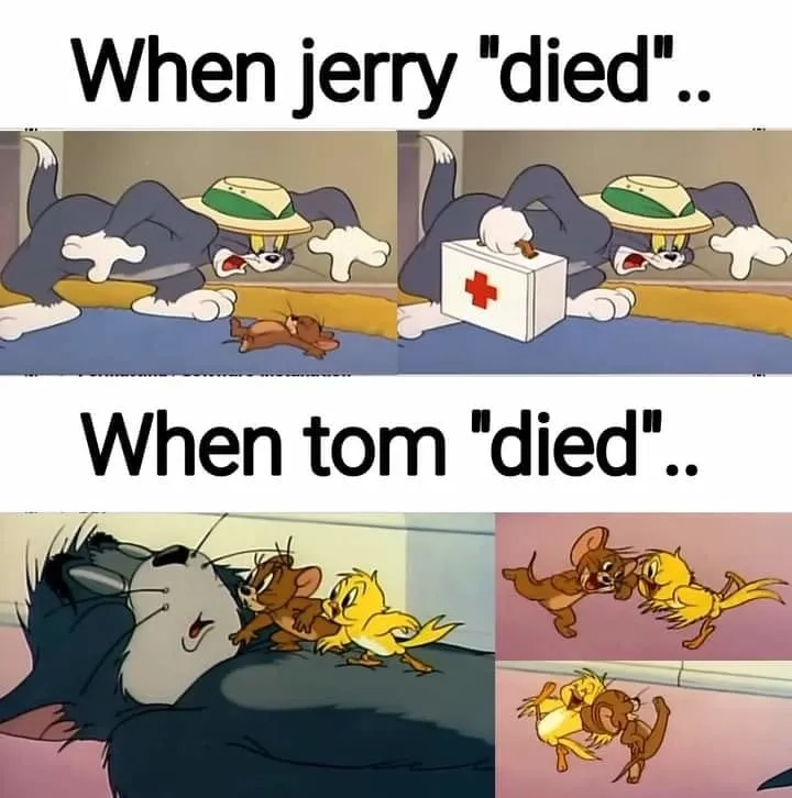 Những khoảnh khắc hài hước trong meme tom và jerry