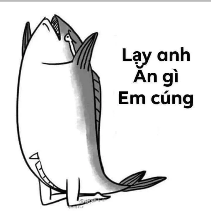 T lạy mày meme giúp thể hiện cảm xúc “cạn lời” trong những tình huống khó đỡ, dễ gây cười.