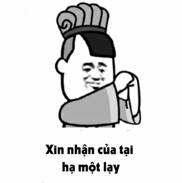 Meme mèo quỳ lạy rất đáng yêu, với những chú mèo thể hiện sự tôn kính, hòa hợp với người bạn loài.