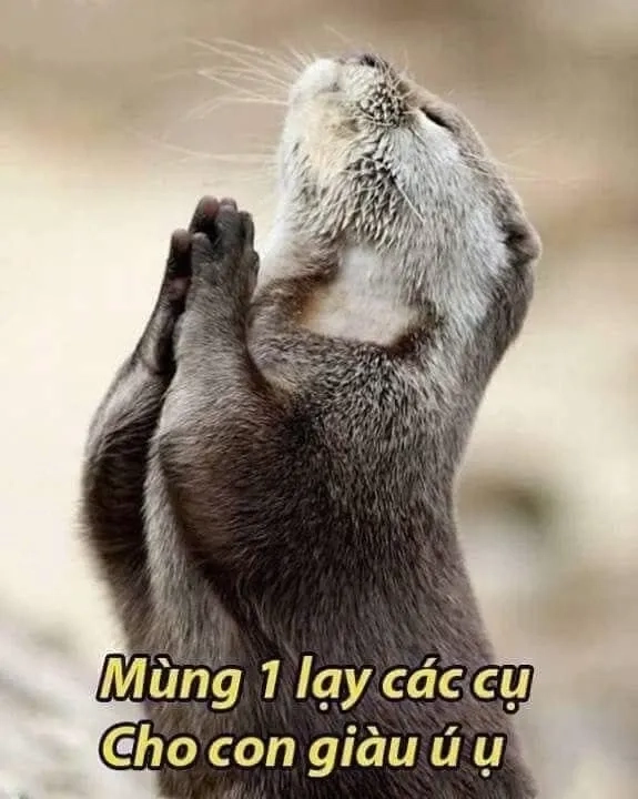 Meme khép đít lạy là cách mô tả tình huống bất ngờ và hài hước từ hành động quỳ lạy.