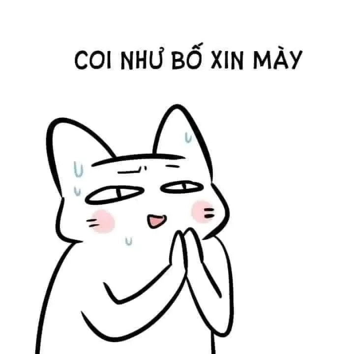 Meme quỳ xuống là những khoảnh khắc dễ thương thể hiện sự sẵn sàng trong các tình huống.