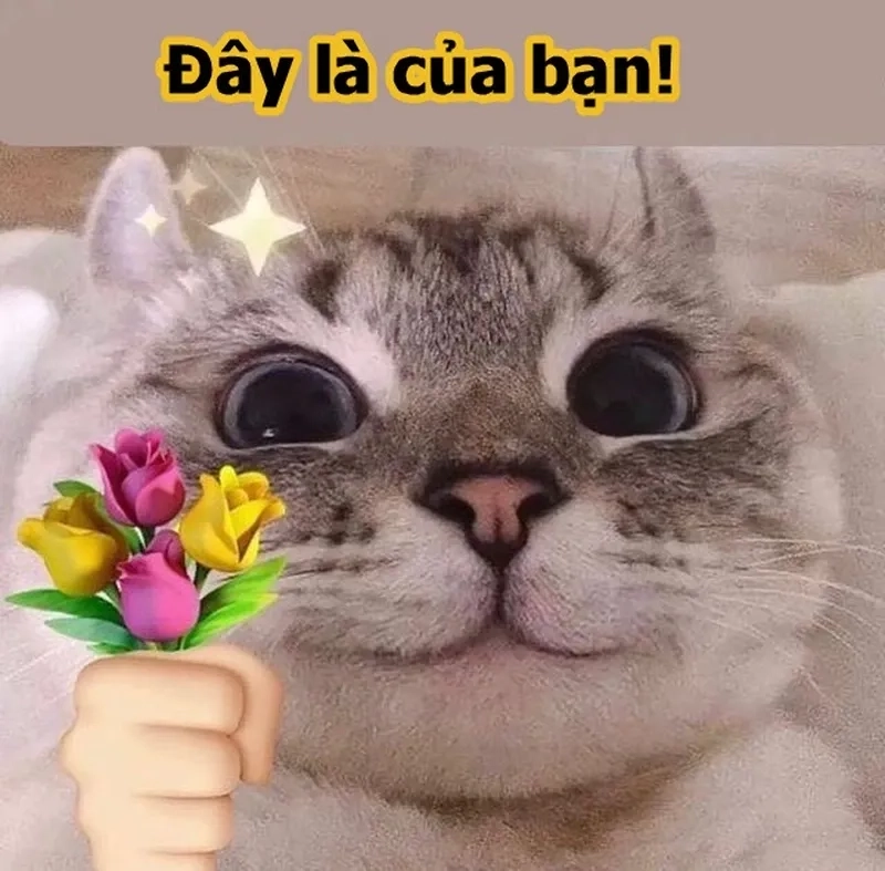 Tặng em bông hoa meme là hình ảnh dễ thương và lãng mạn dành cho người thân yêu.