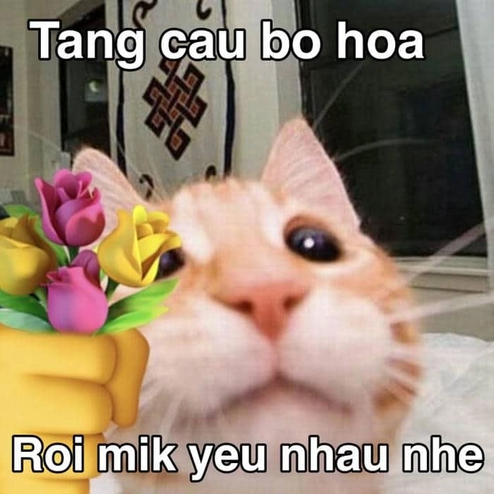 Meme hài tình yêu cực vui, khiến ngày thêm rực rỡ.