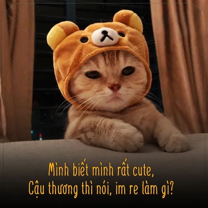 Thả thính meme là cách thả thính siêu đỉnh, siêu hài.