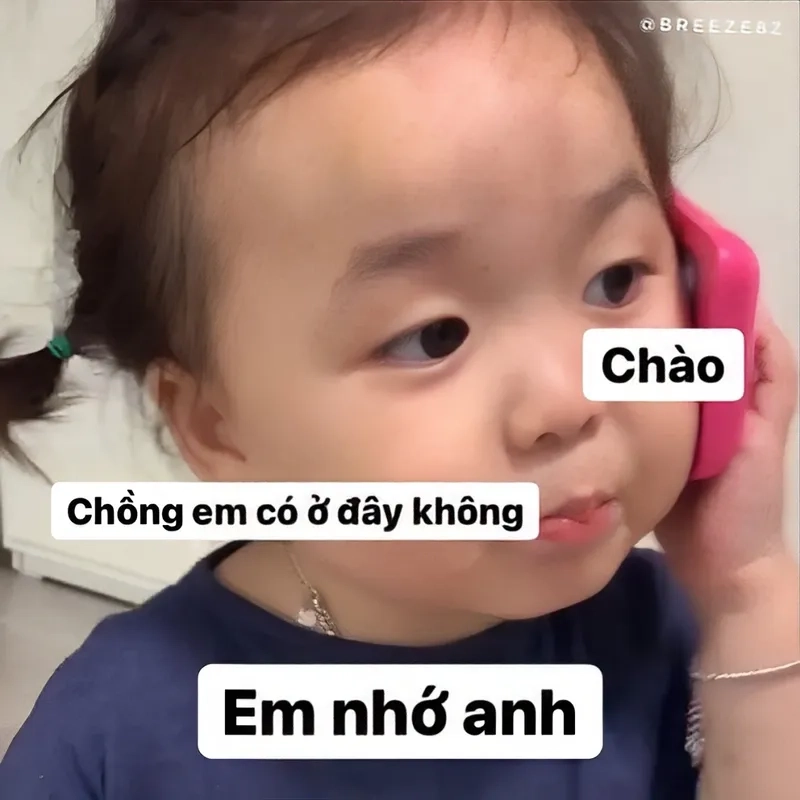 Meme mèo nhớ người yêu mang đến sự đáng yêu khó cưỡng.