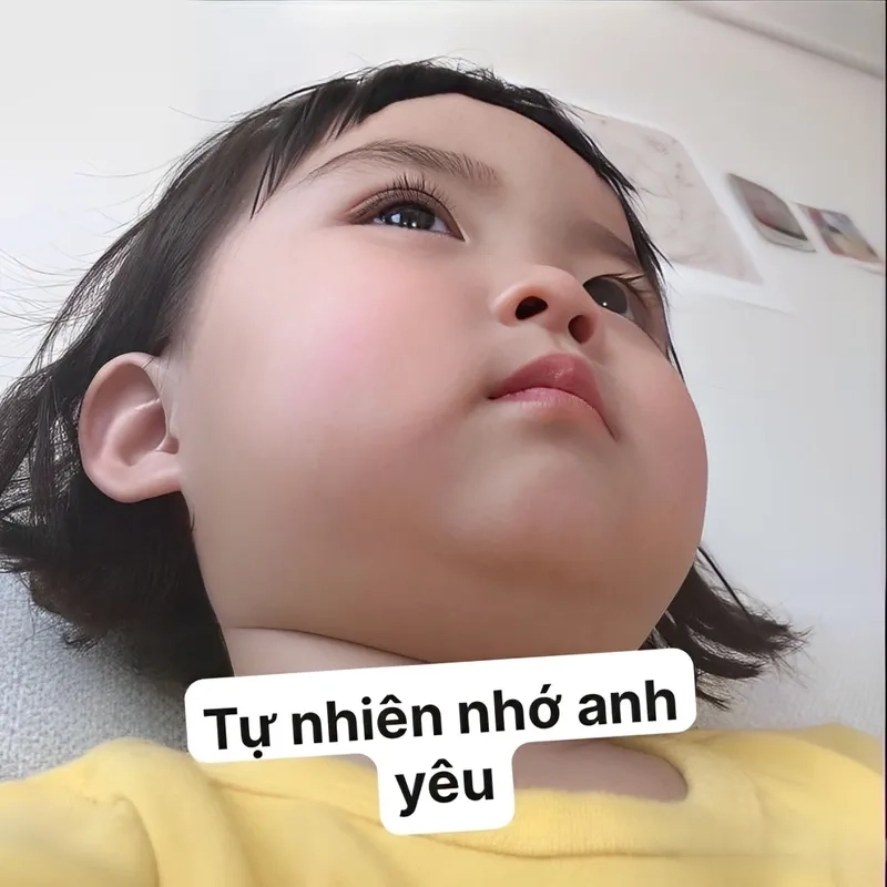 Meme đáng yêu luôn khiến người xem phải mỉm cười vui vẻ.