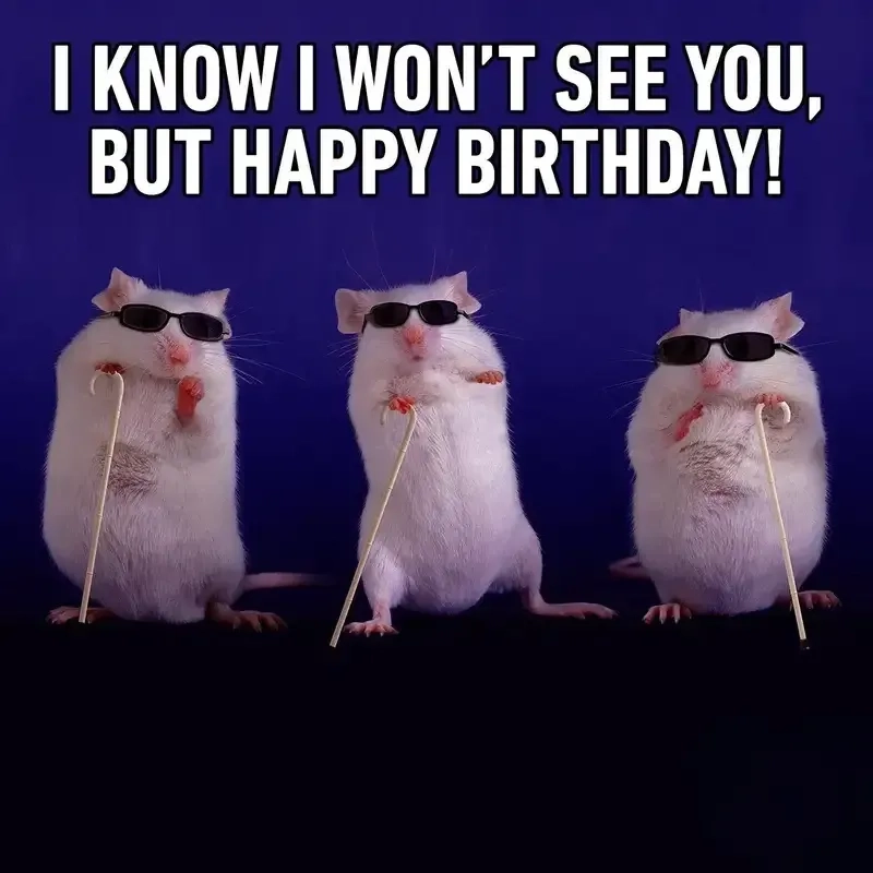 Chúc mừng sinh nhật với ảnh happy birthday meme đầy sáng tạo