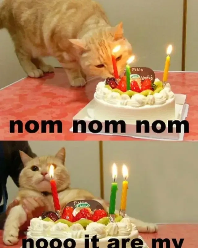 Tặng bạn happy birthday cake meme để làm sinh nhật thêm đặc biệt