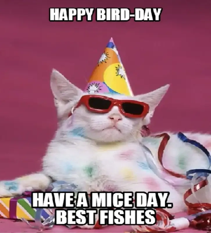 Mừng sinh nhật bạn thân với meme happy birthday friend hài hước