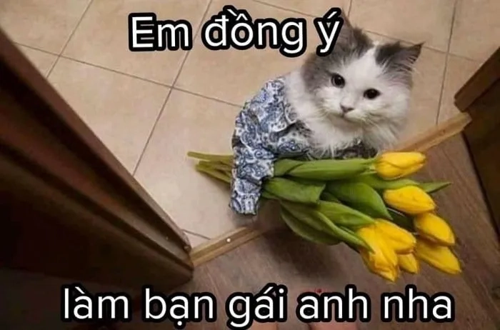 Hình meme trái tim cực đáng yêu tặng ngay meme tặng tim