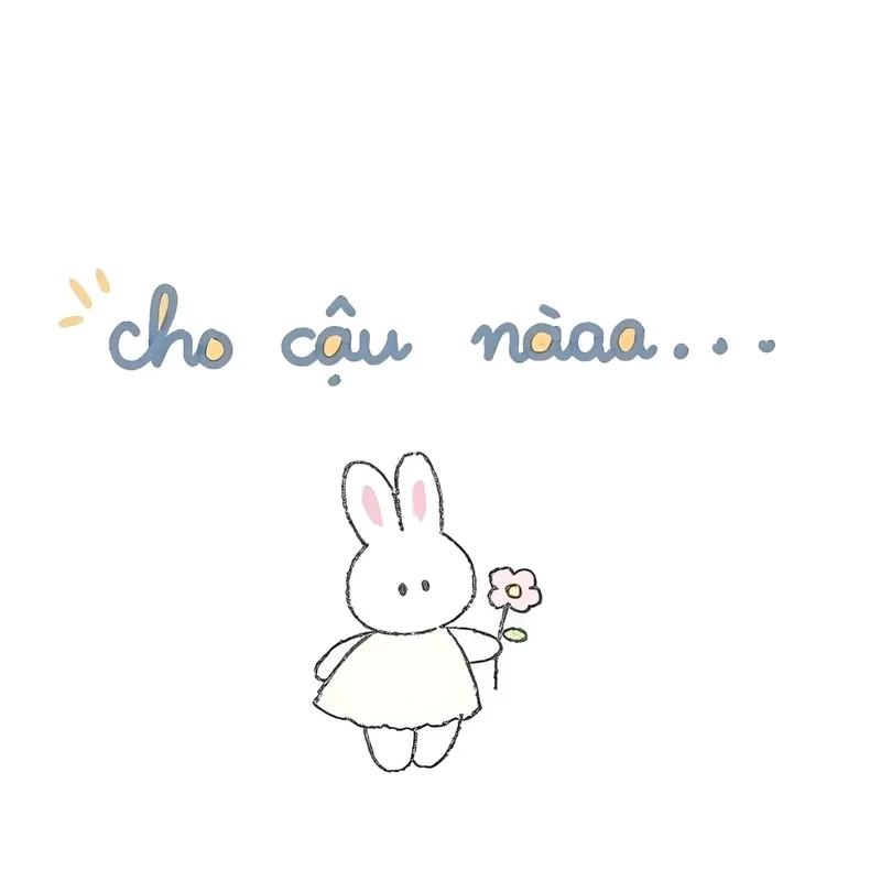 Cute meme mèo tặng hoa là món quà ngọt ngào giúp lan tỏa yêu thương.