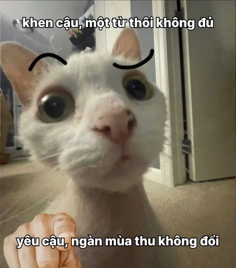 Meme sạc pin tình yêu là hình ảnh ngộ nghĩnh giúp nạp đầy năng lượng yêu thương.