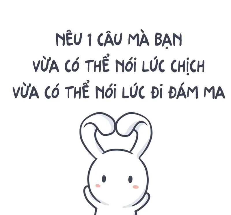 Ảnh meme thỏ 7 màu ghi lại những khoảnh khắc vui nhộn đầy bất ngờ.