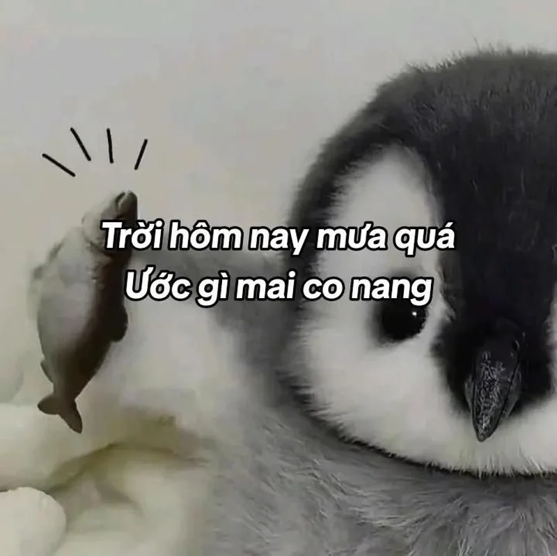 Meme tình yêu to lớn là cách diễn đạt tình yêu đầy sâu sắc.