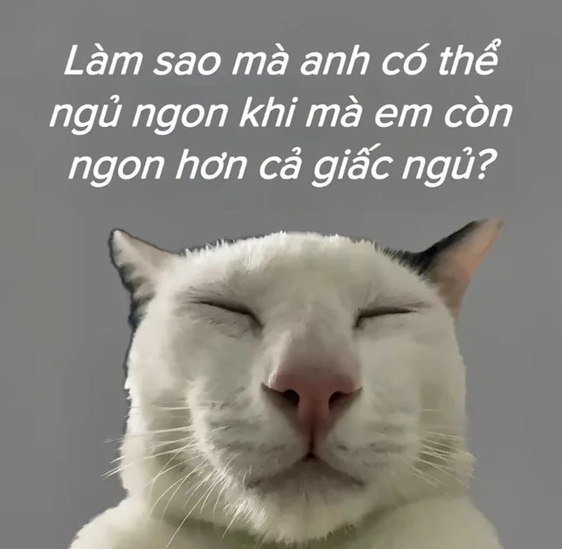 Meme trêu người yêu mang lại tiếng cười và khoảnh khắc vui vẻ.