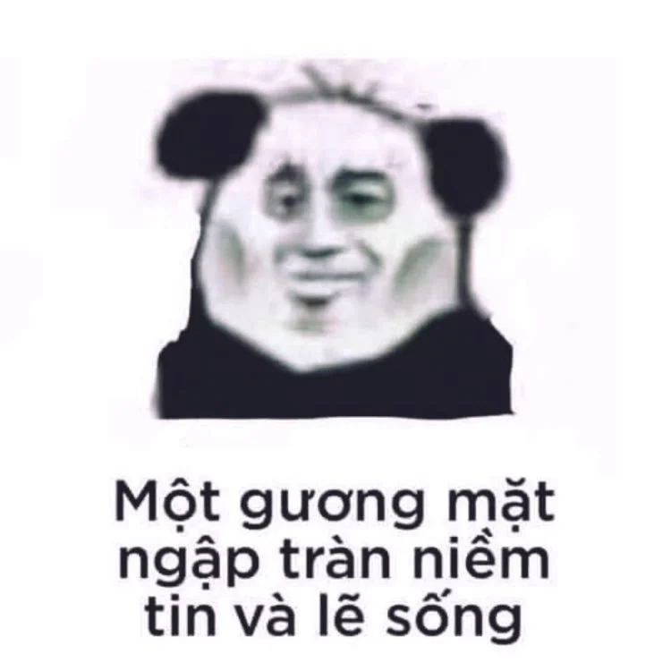 Khám phá sự dễ thương của gấu meme trung quốc