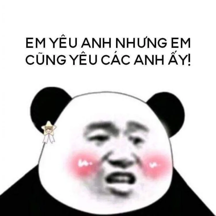 Đừng bỏ lỡ những khoảnh khắc hài hước từ gấu trúc meme trung quốc