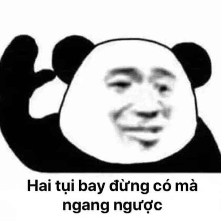 Những khoảnh khắc vui nhộn từ meme rái cá trung quốc