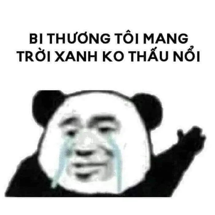 Meme cười trung quốc chắc chắn sẽ làm bạn thích thú