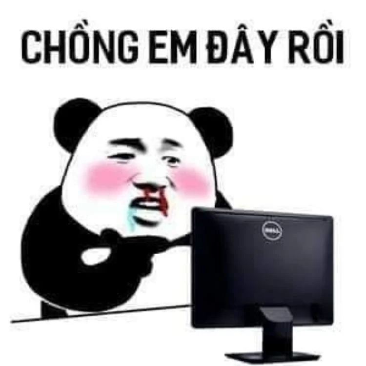 Meme mèo béo trung quốc đáng yêu cực kỳ vui nhộn