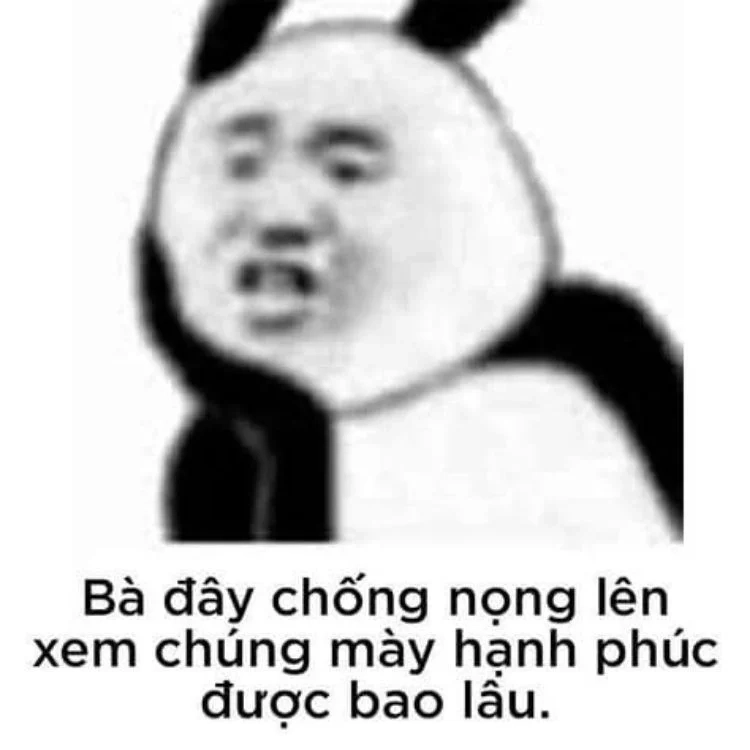 Meme cute có chữ khiến bạn thích thú ngay lập tức