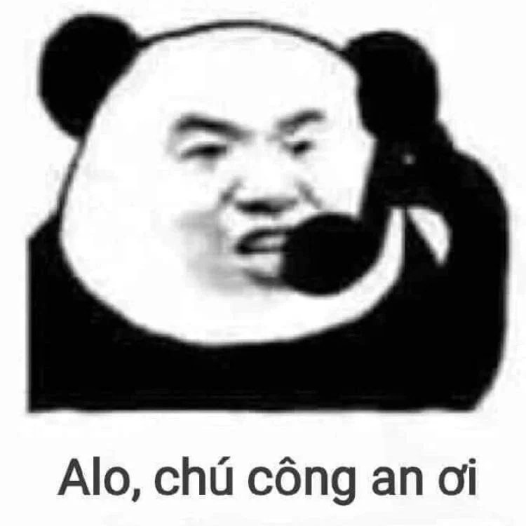 Hải ly hồng meme siêu hài hước và dễ thương