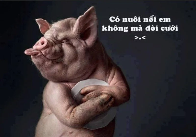 Chia sẻ niềm vui bất tận với vui mừng meme