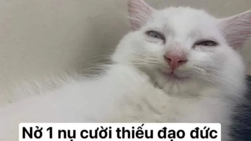 Chào ngày mới với nụ cười qua ngày mới vui vẻ meme