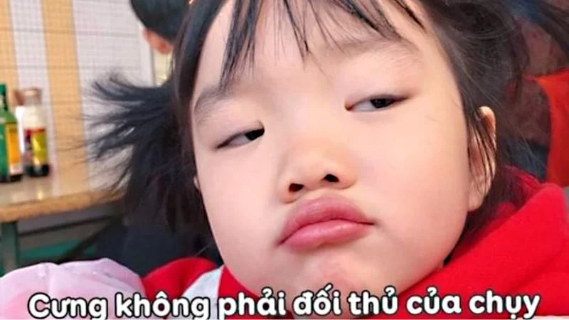 Chú mèo biểu cảm cực dễ thương từ meme mèo vui mừng