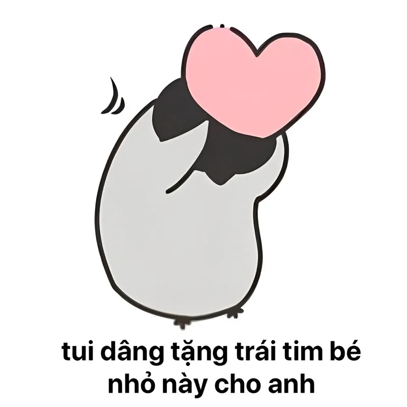 Quà tặng cuộc sống meme là hình ảnh vui nhộn thể hiện sự trân trọng cuộc sống qua quà tặng.