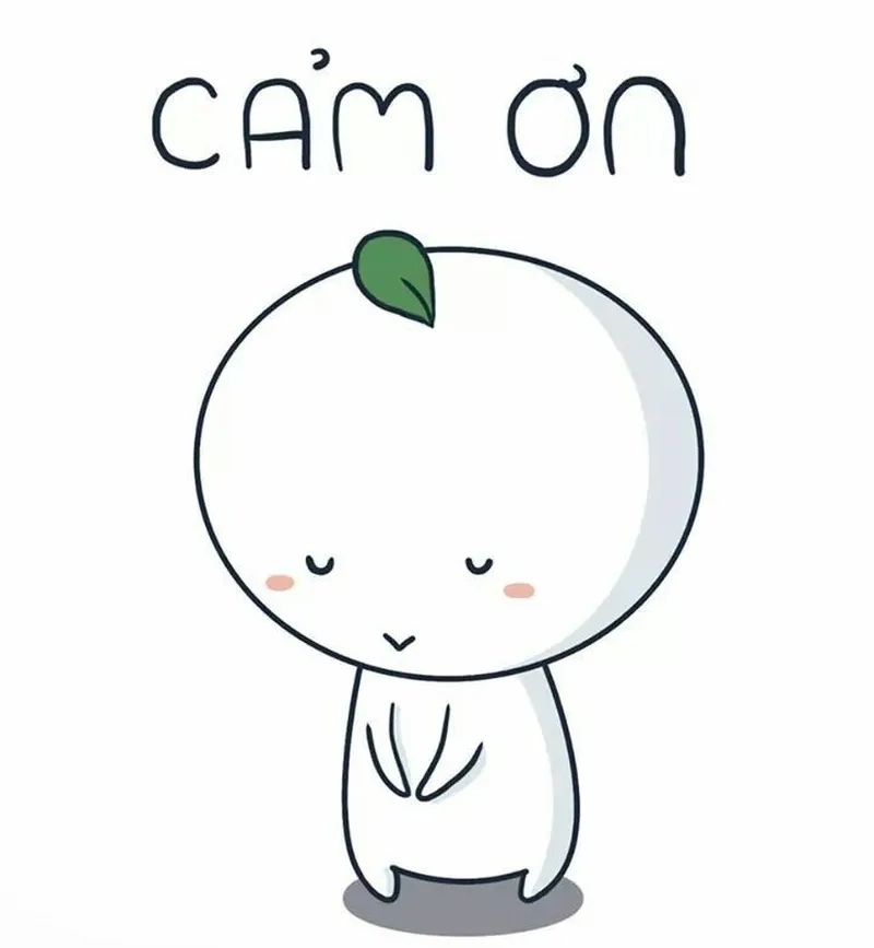 Thank you for your opinion meme thể hiện sự tôn trọng ý kiến và cảm ơn người chia sẻ.