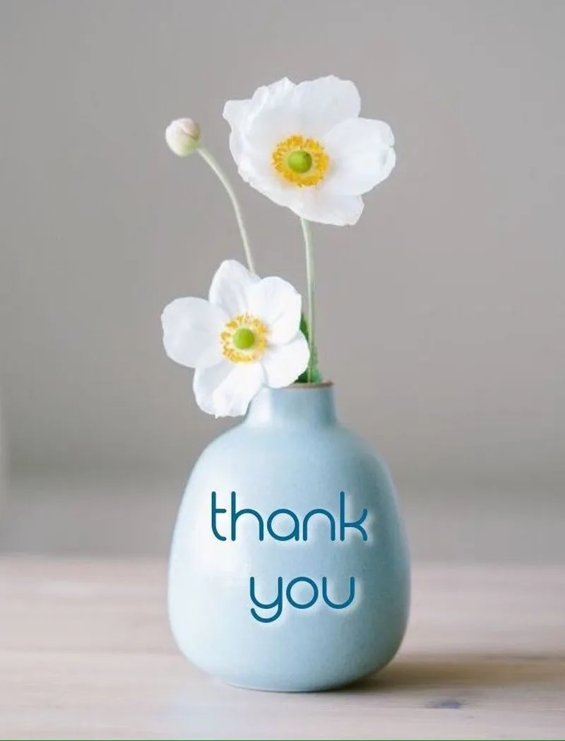 Thank you funny meme là một cách nói lời cảm ơn đầy sáng tạo và thú vị.