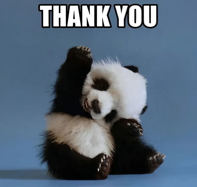 Thank you disney meme là lời cảm ơn dành cho Disney qua những hình ảnh vui nhộn.