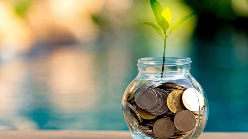 Ảnh đẹp làm ảnh đại diện Zalo, tạo ấn tượng mạnh