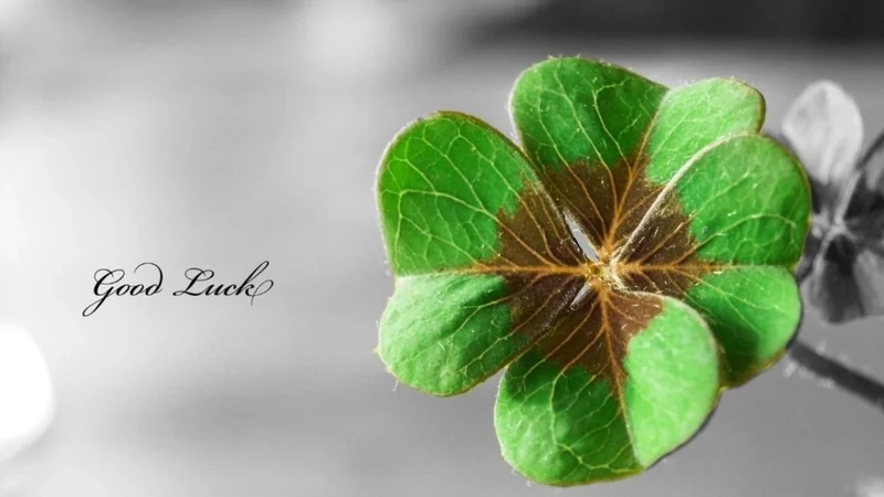 Ảnh đại diện Zalo cute, dễ thương và đáng yêu