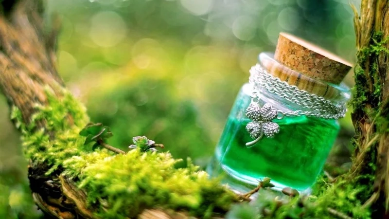 Ảnh đại diện đẹp cho Zalo, thể hiện cá tính riêng biệt