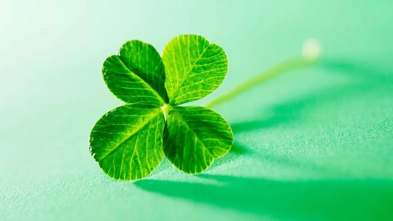 Avatar đẹp Zalo, tạo dấu ấn đậm nét với mọi người