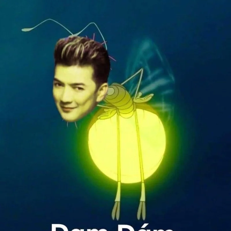 Meme ảnh hài gây cười bất ngờ trong mọi tình huống