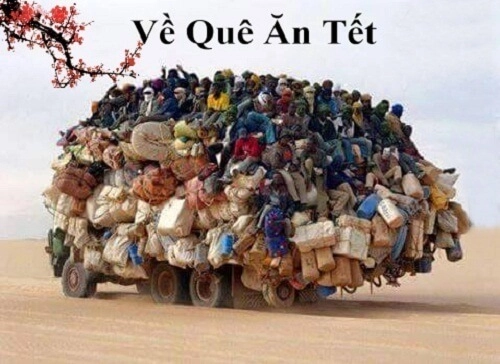 Bộ sưu tập ảnh meme tết mèo dễ thương cho mùa lễ hội