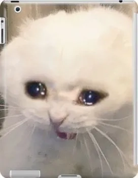Cảm giác bất lực được gói gọn trong mèo cry meme