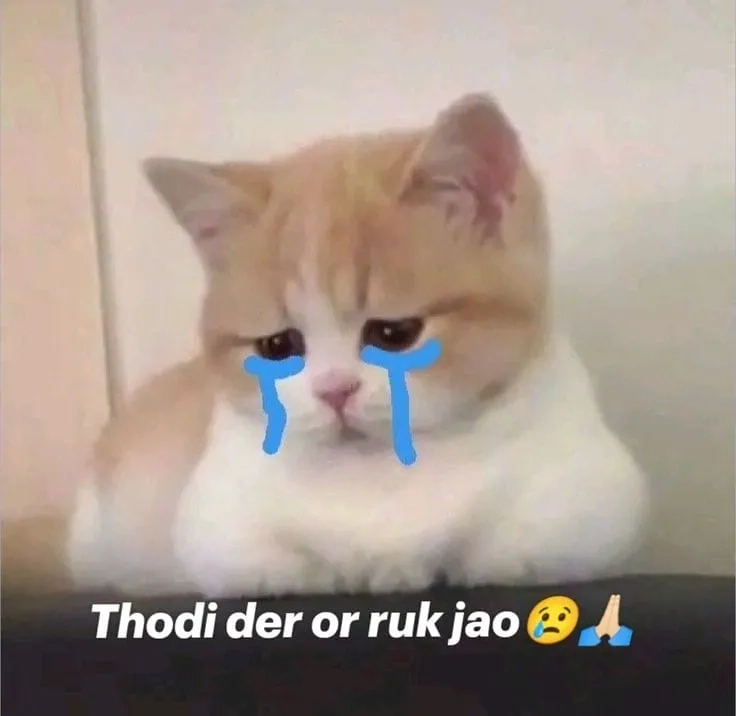 Khi bạn vui đến phát khóc như happy crying meme