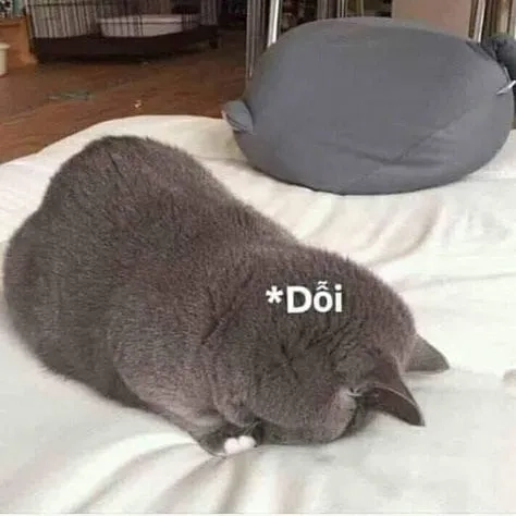 Buồn ư hãy dùng cry about it meme để thể hiện cảm xúc