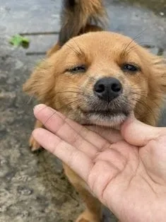 Cảm xúc vỡ òa như ronaldo crying meme