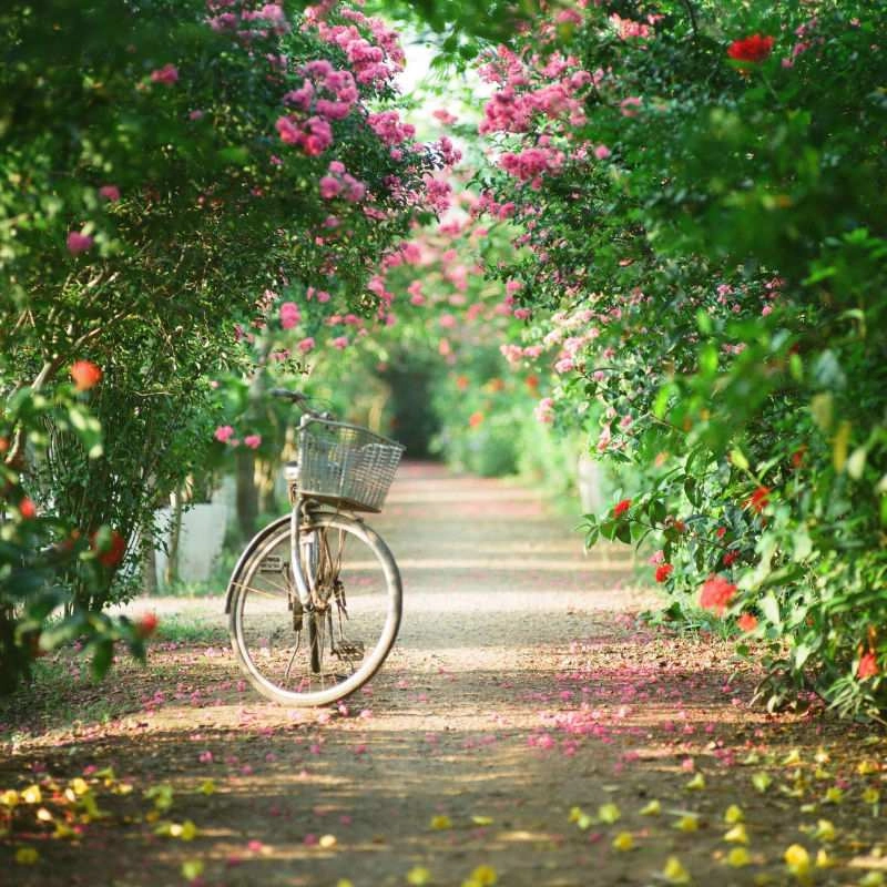 Ảnh đại diện đẹp và ý nghĩa, thể hiện phong cách riêng